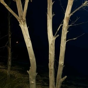 Meet your Posher, Carolyn